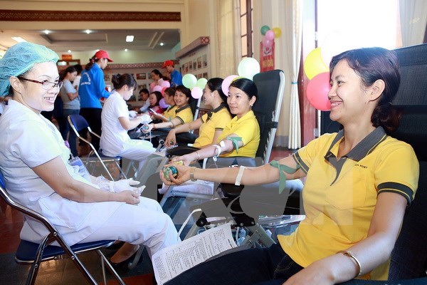 Workshop discusses human resources for stable blood donation hinh anh 1