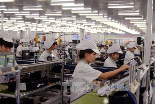 Policies key to attracting foreign investment hinh anh 1