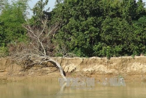 Khanh Hoa: More than 25 million USD for flooding, erosion prevention hinh anh 1