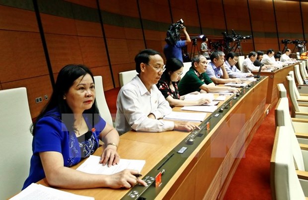 Parliament adopts amendments to 2015 Penal Code hinh anh 1