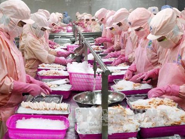 Vietnam hopes for over 10 bln USD trade with seven markets hinh anh 1