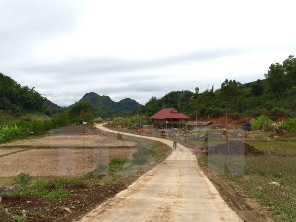 Rural transport development helps promote poverty reduction hinh anh 1