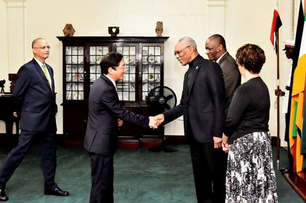 Diplomat: Vietnam wants to deepen cooperation with Guyana hinh anh 1
