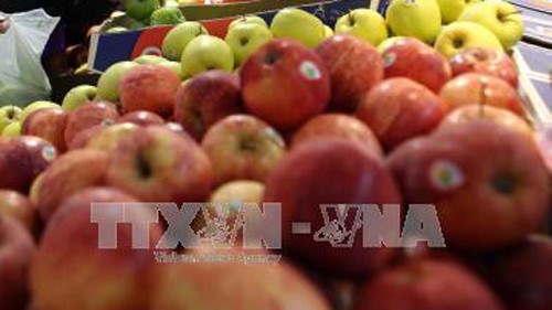 Fruit, vegetable imports hit 655 million USD in first half hinh anh 1