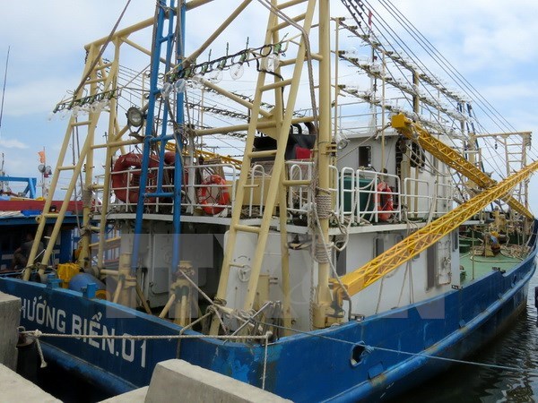 PM orders investigation into low-quality fishing vessel building hinh anh 1