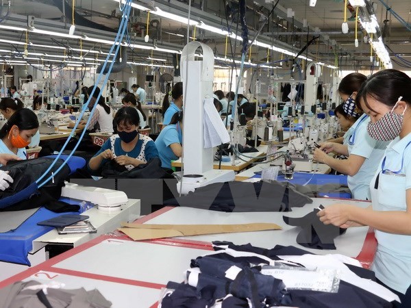 Experts: Garment sector’s export growth not yet sustainable hinh anh 1