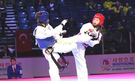 Vietnamese taekwondo athlete wins gold in RoK hinh anh 1