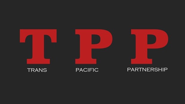 11 TPP countries to meet in Japan hinh anh 1