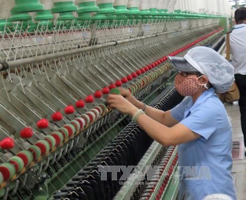 India firms seek to boost textile machinery exports to Vietnam hinh anh 1