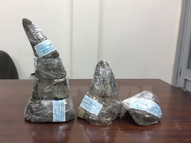 Tay Ninh: Three people detained for smuggling rhino horn hinh anh 1