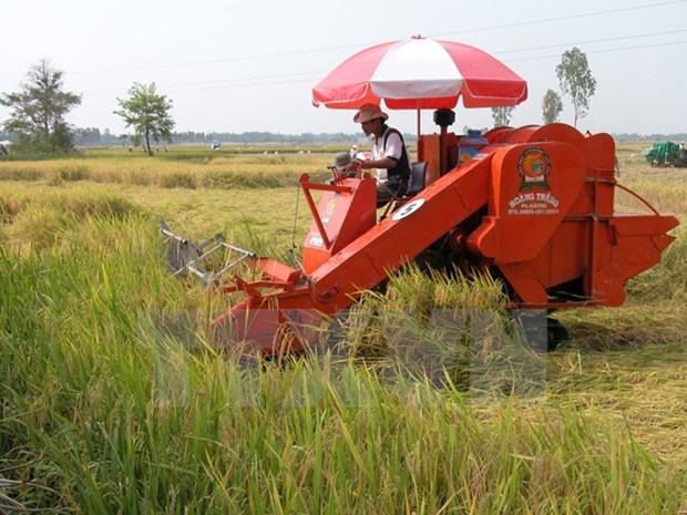 Ninh Thuan invests 1.2 billion VND to agricultural industrialisation hinh anh 1