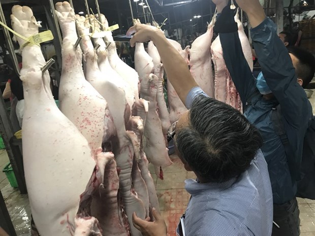 HCM City seeks to trace pork origins hinh anh 1