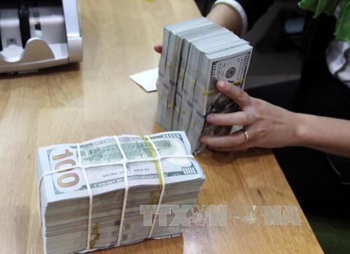 Reference exchange rate up at week’s beginning hinh anh 1