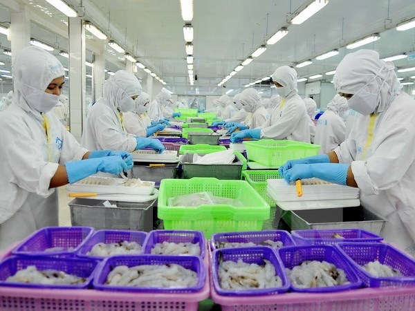 UK tops importers of Vietnam’s prawn in EU in 2016 hinh anh 1