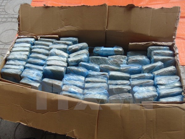 Police bust inter-provincial drug transporting ring hinh anh 1