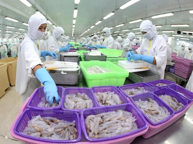 US rescinds part of antidumping duty review on shrimp from Vietnam hinh anh 1