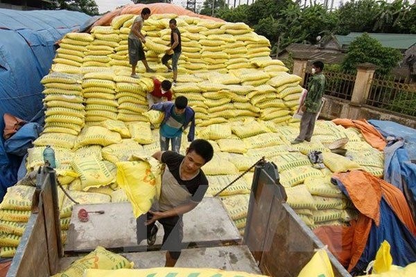 Temporary duties on fertiliser may hurt farmers hinh anh 1