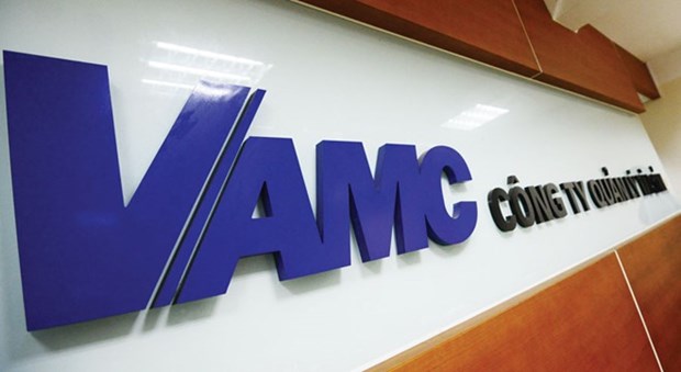 VAMC needs more capital to settle bad debts hinh anh 1