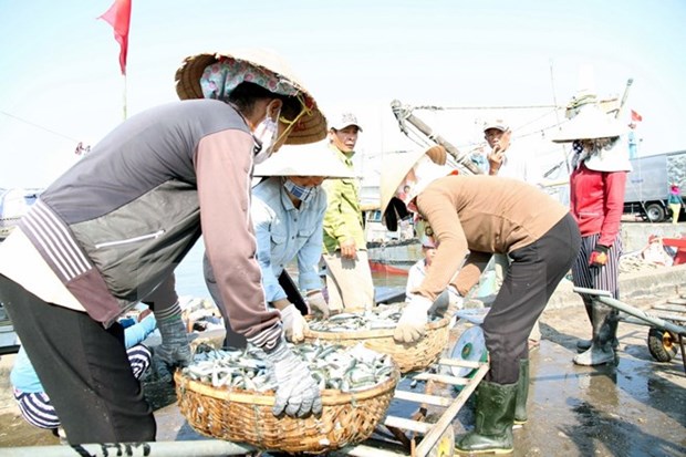 Seafood output hits 2.3 million tonnes in eight months hinh anh 1