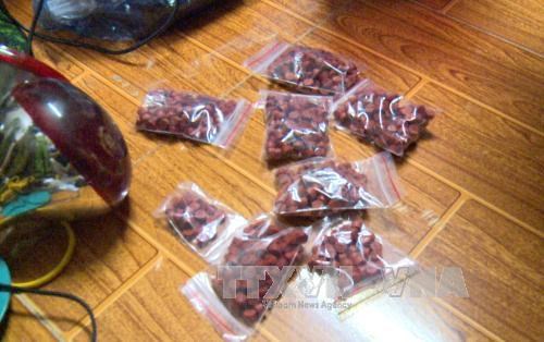 More than 12,000 meth pills seized in Quang Binh hinh anh 1