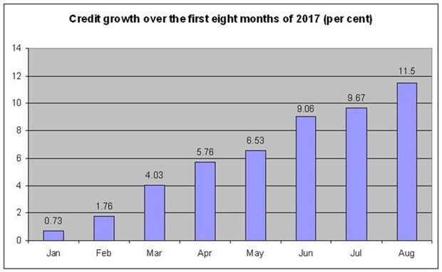Eight-month credit growth rate touches 11.5 percent hinh anh 1