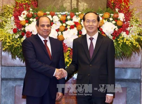 Vietnamese, Egyptian Presidents hold talks hinh anh 1