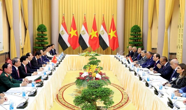 Vietnam, Egypt seal cooperation agreements hinh anh 1