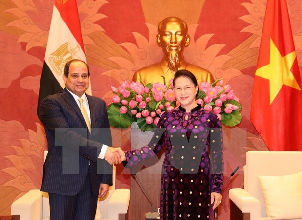 Top legislator hails relations with Egypt hinh anh 1