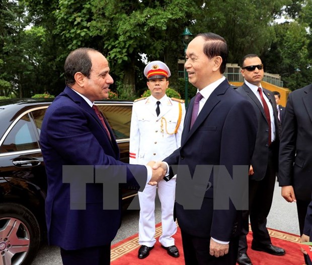 Egyptian President concludes Vietnam visit hinh anh 1