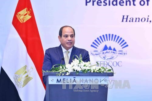 Vietnamese, Egyptian firms explore cooperation opportunities hinh anh 1