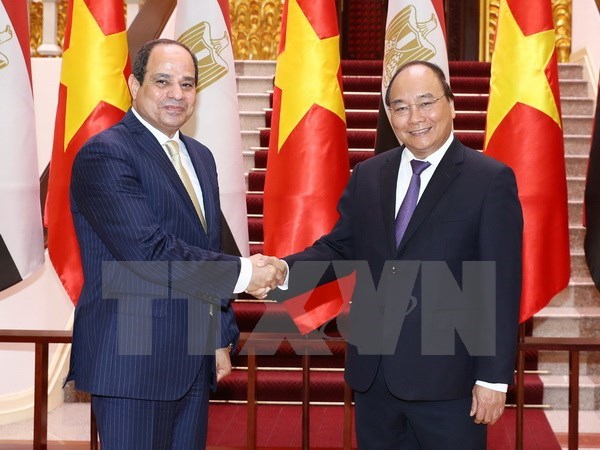 Vietnam, Egypt strive for 1 billion USD trade hinh anh 1