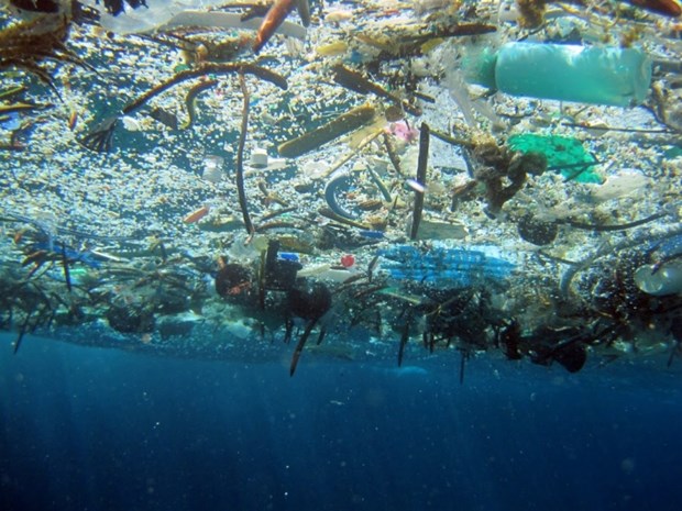 East Asian countries join hands to fight plastic waste in ocean hinh anh 1