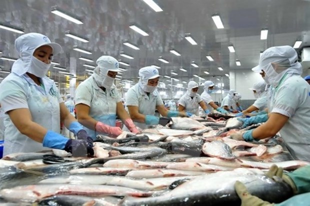 Tra fish exports to US on course hinh anh 1