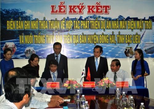 RoK’s group to build 450-mln-USD solar power plant in Bac Lieu hinh anh 1