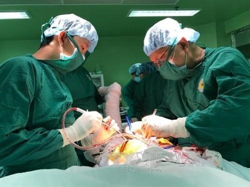 Hip replacement results improve in Vietnam hinh anh 1