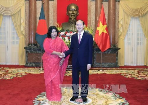 President welcomes newly-accredited foreign ambassadors hinh anh 2