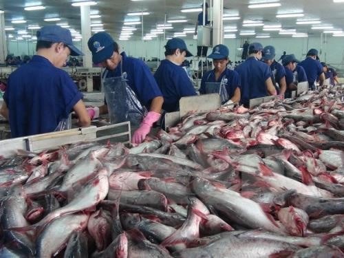 VN firms seek markets for tra fish hinh anh 1