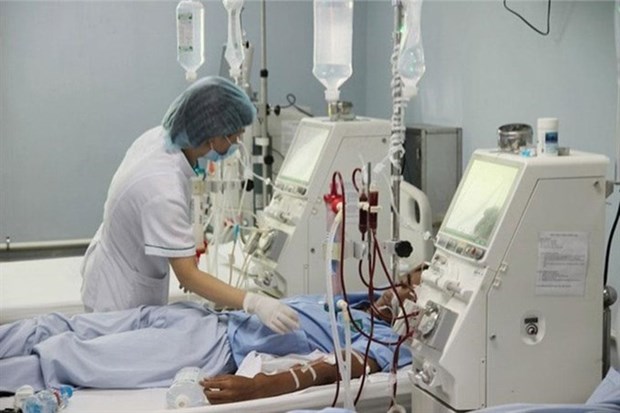 Water used for kidney dialysis fails to meet int’l standards: expert hinh anh 1