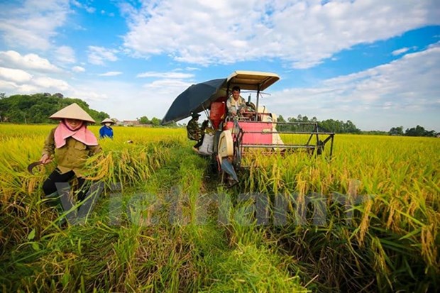 Vietnam, Germany cooperate in vocational training for farmers hinh anh 1