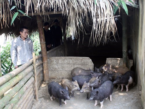 Over 124,000 Soc Trang households escape poverty hinh anh 1