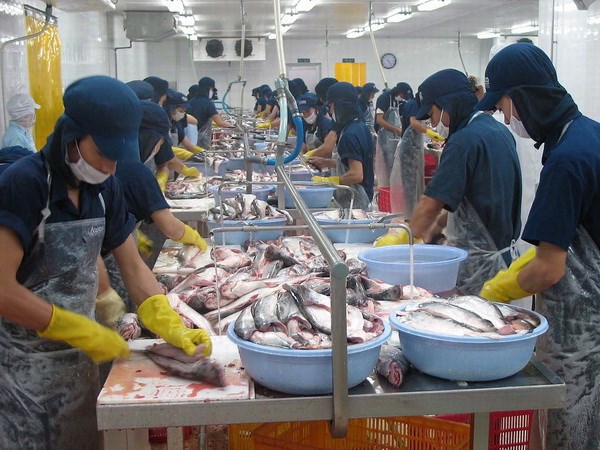Kien Giang boosts exports in remaining months hinh anh 1
