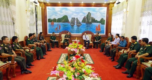 Cambodia's defence officers visit Soc Trang province hinh anh 1