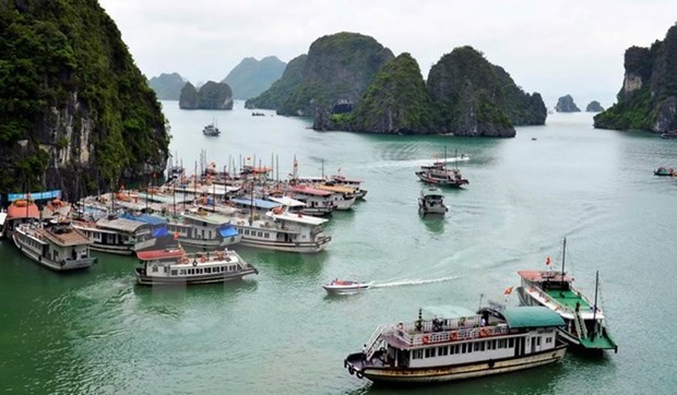 Organising board for National Tourism Year established hinh anh 1