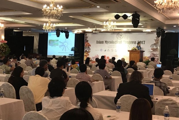 Vietnam’s mycology sector seeks international cooperation hinh anh 1