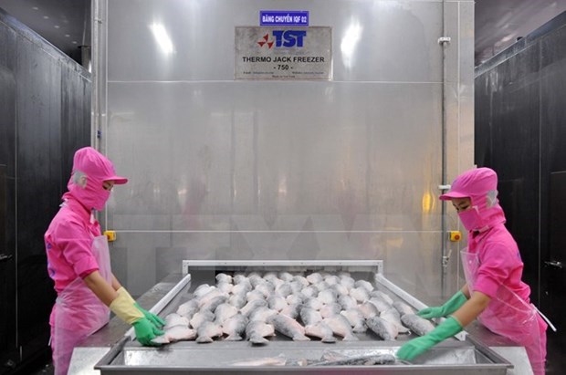 US’s monitoring programme worries Vietnamese seafood firms hinh anh 1