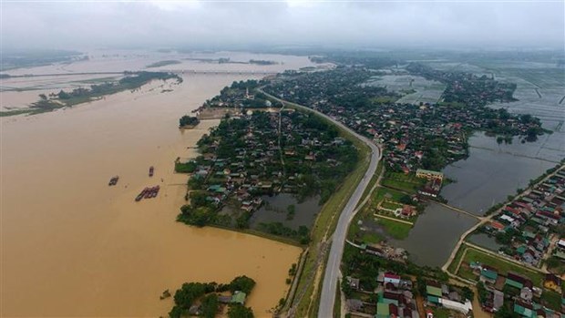 Government provides rice for flood-hit Nghe An province hinh anh 1
