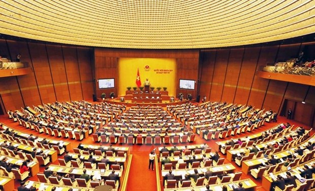 Lawmakers to mull over important issues hinh anh 1