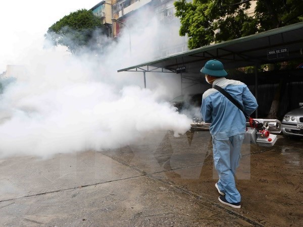 More than 95 percent of Hanoi’s dengue hotbeds under control hinh anh 1