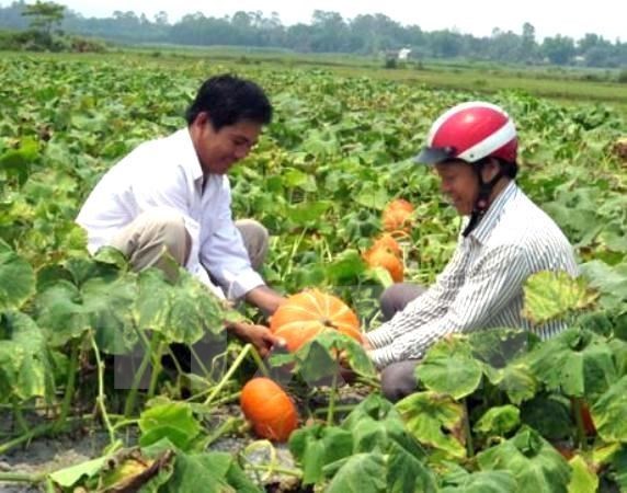 Agro-forestry-fishery exports to hit nearly 30 bln USD in 10 months hinh anh 1