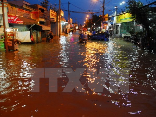 HCM City to begin 15 million USD flood prevention project hinh anh 1